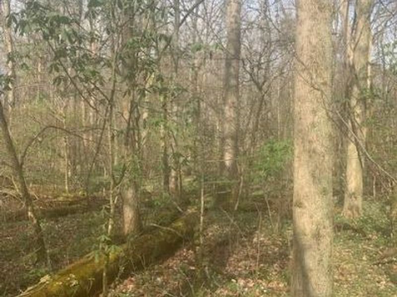 0 Township Road 188, Marengo, OH 43334 Photo 1