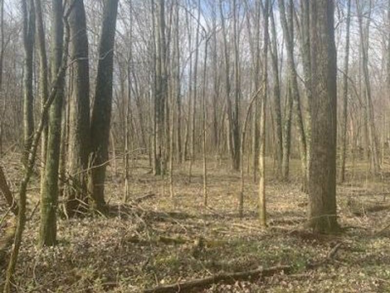 0 Township Road 188, Marengo, OH 43334 Photo 2