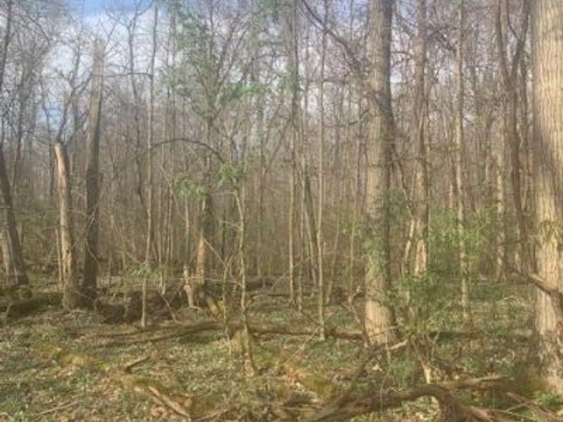 0 Township Road 188, Marengo, OH 43334 Photo 4