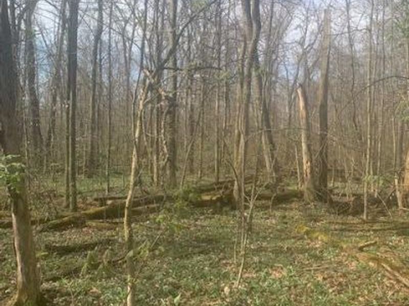 0 Township Road 188, Marengo, OH 43334 Photo 5