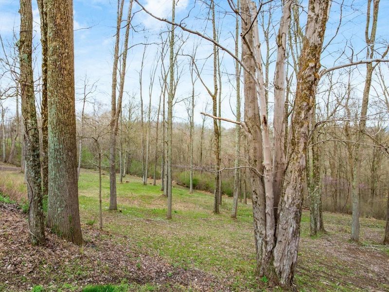 2531 Nicholas, Dresden, OH 43821 Photo 35