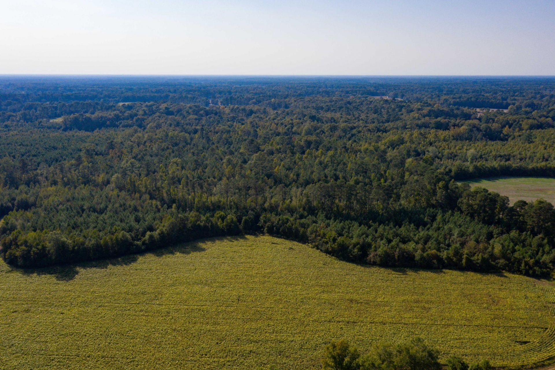 0 Half Acre Court  Photo 14