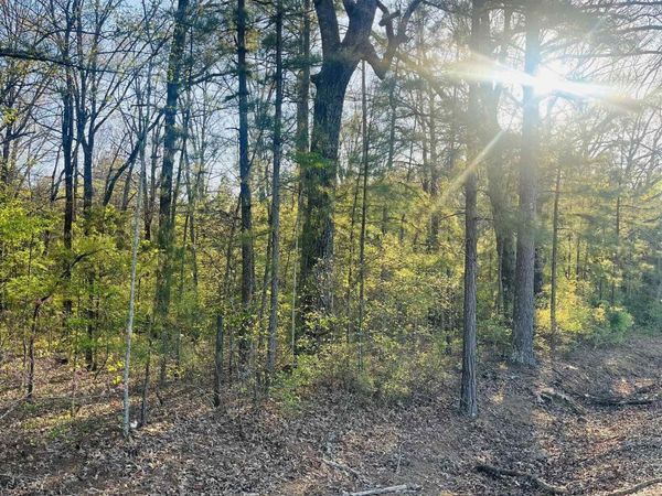 Hoover Lane, Monticello, AR 71655