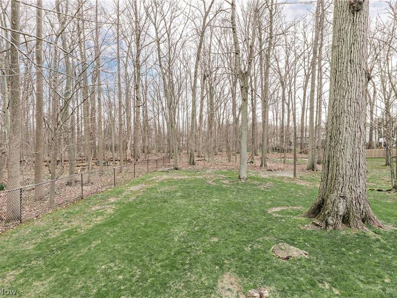 3999 Orangewood Drive, Orange, OH 44122 Photo 43