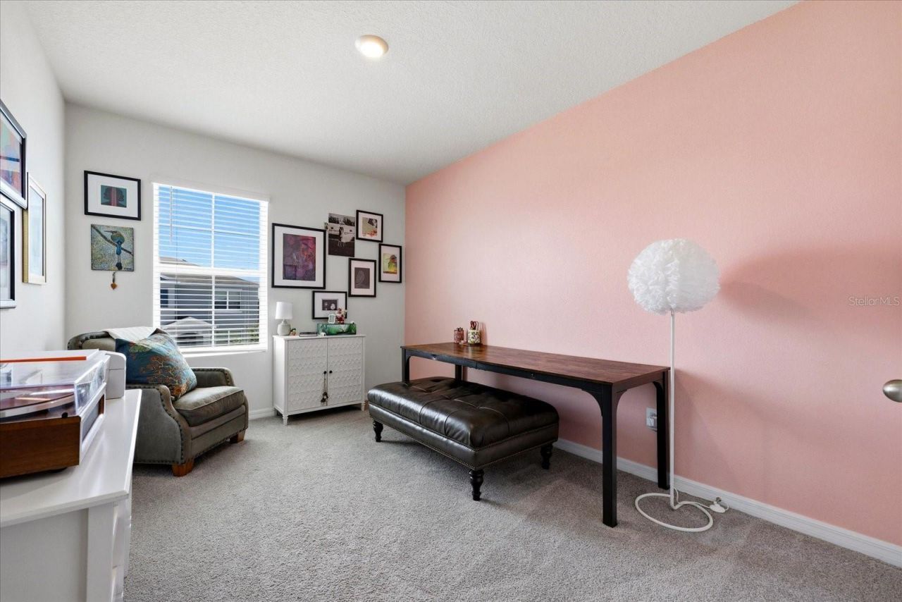 33479 Elm Hill Branch, Wesley Chapel, FL 33545 Photo