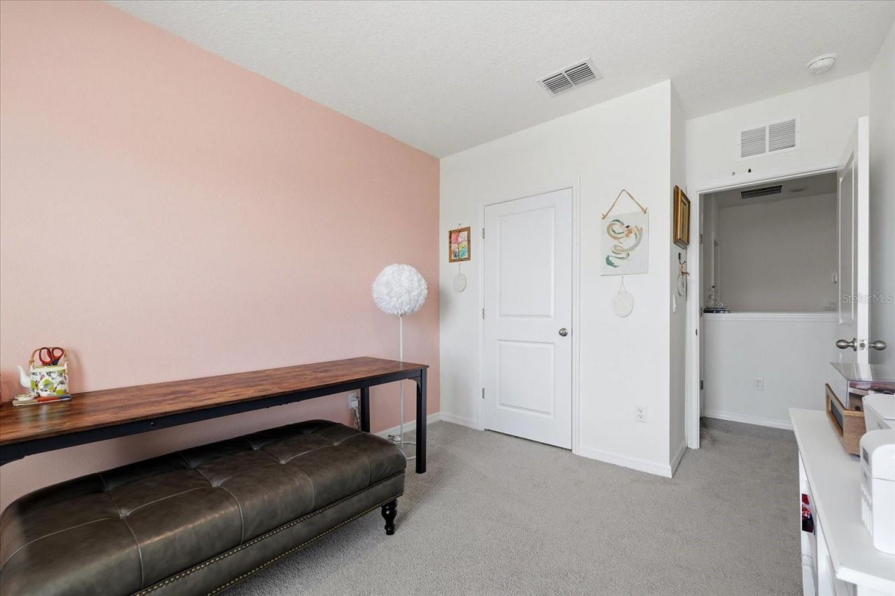 33479 Elm Hill Branch, Wesley Chapel, FL 33545 Photo