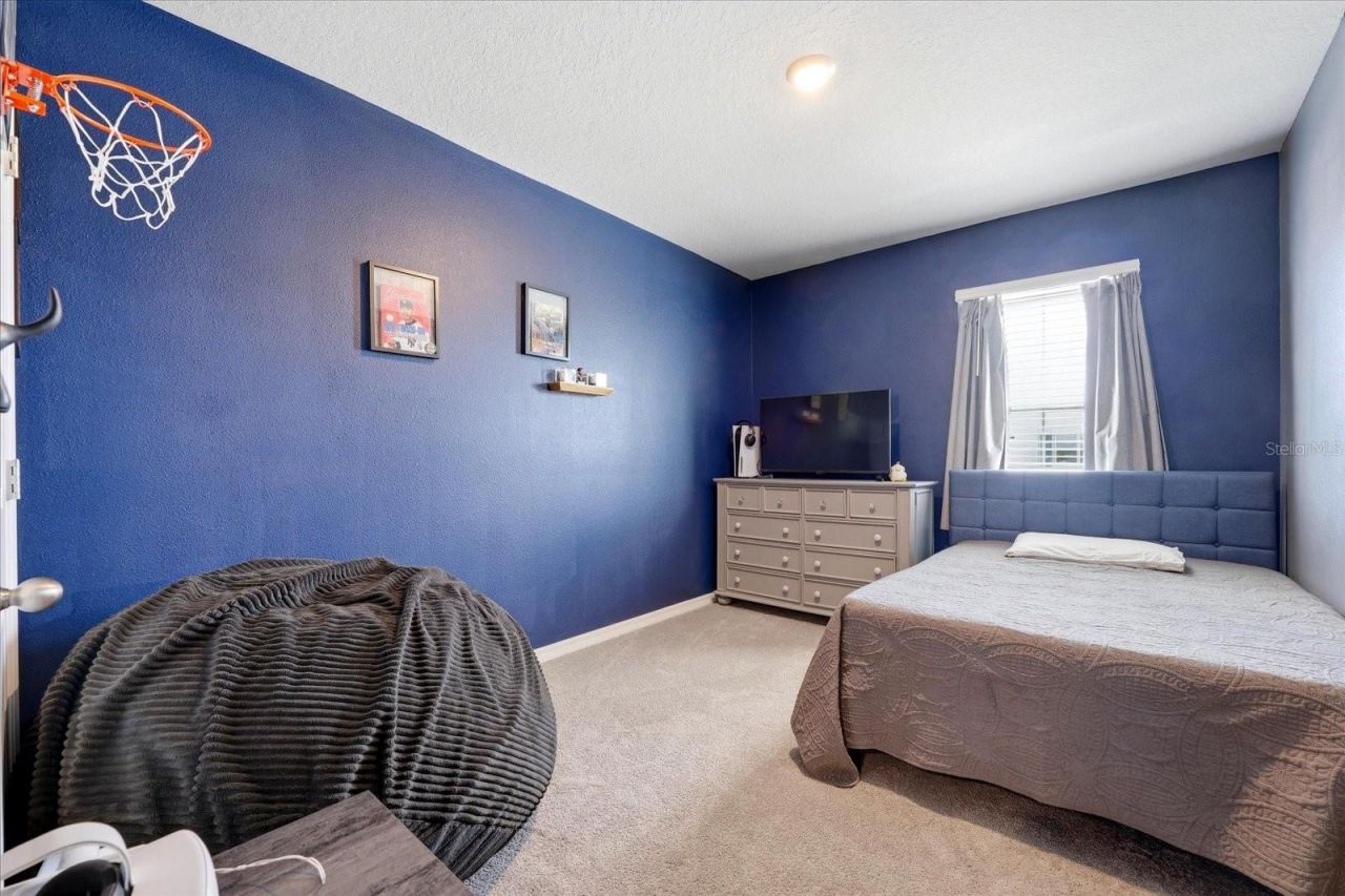 33479 Elm Hill Branch, Wesley Chapel, FL 33545 Photo