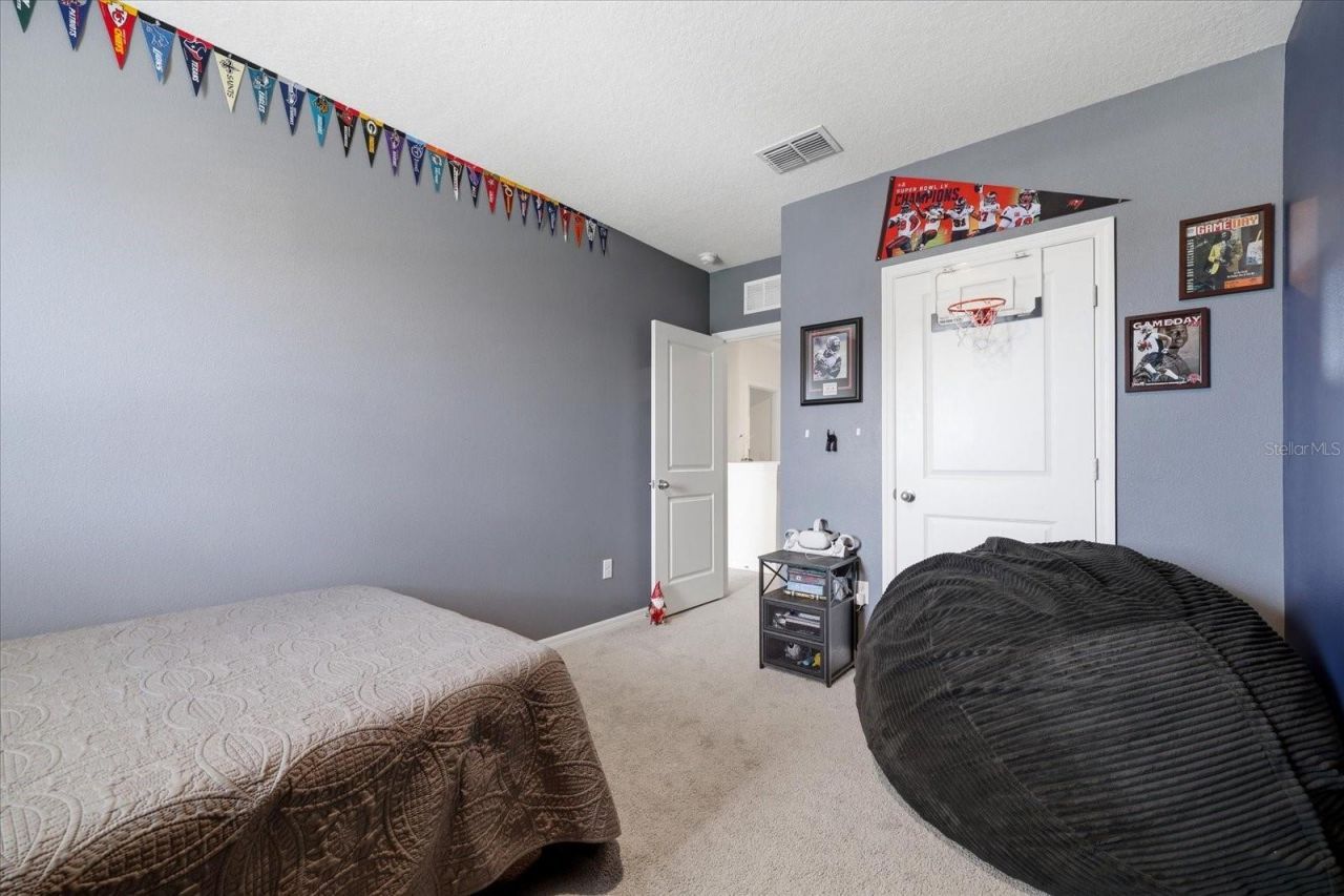 33479 Elm Hill Branch, Wesley Chapel, FL 33545 Photo