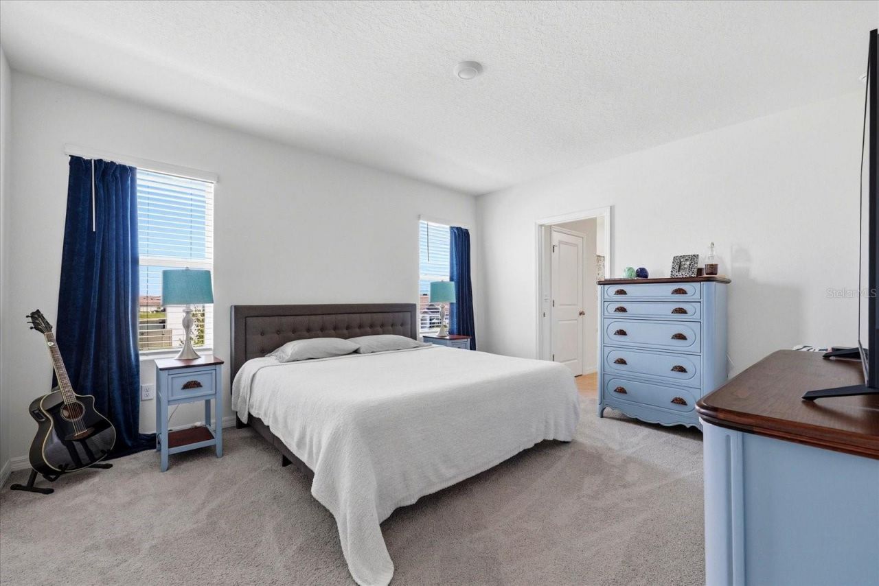 33479 Elm Hill Branch, Wesley Chapel, FL 33545 Photo