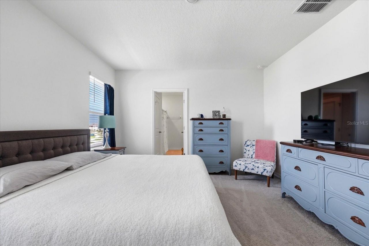 33479 Elm Hill Branch, Wesley Chapel, FL 33545 Photo