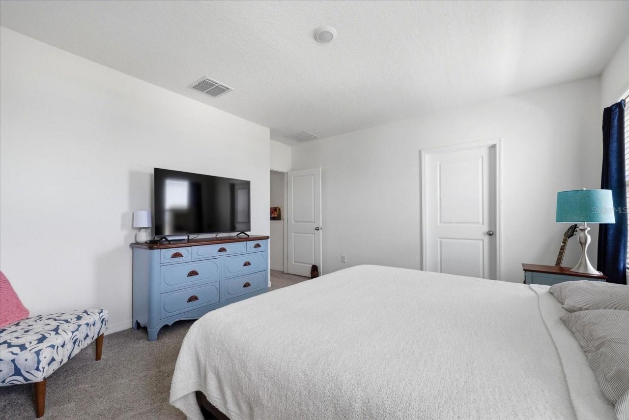 33479 Elm Hill Branch, Wesley Chapel, FL 33545 Photo