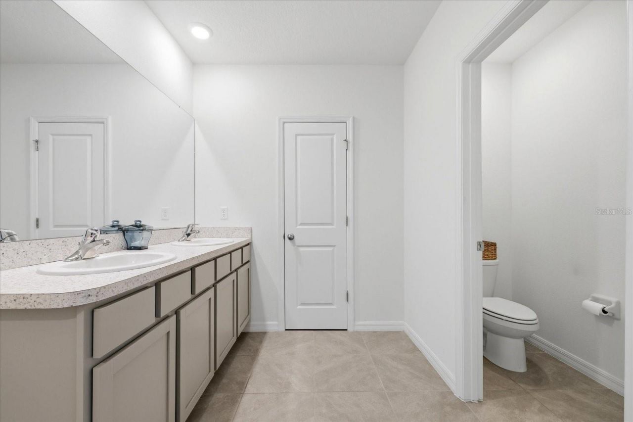 33479 Elm Hill Branch, Wesley Chapel, FL 33545 Photo