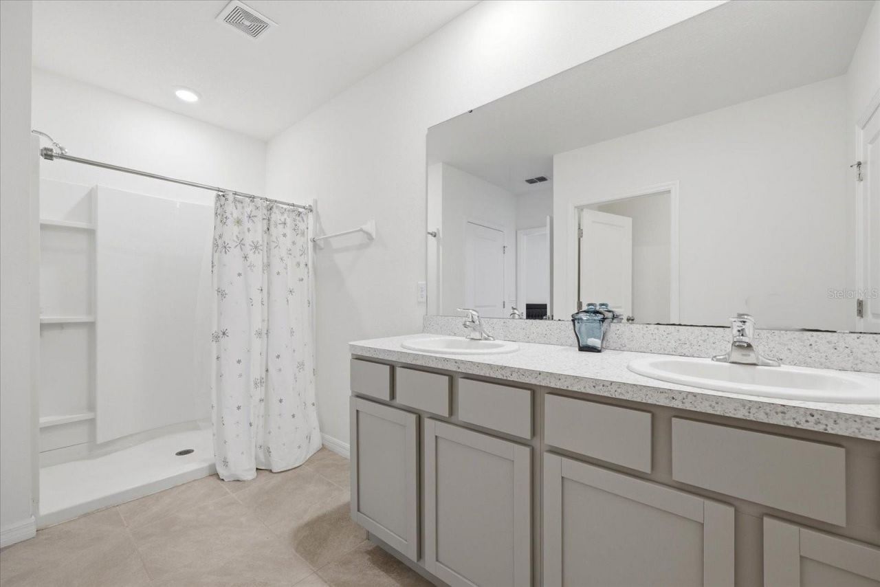 33479 Elm Hill Branch, Wesley Chapel, FL 33545 Photo