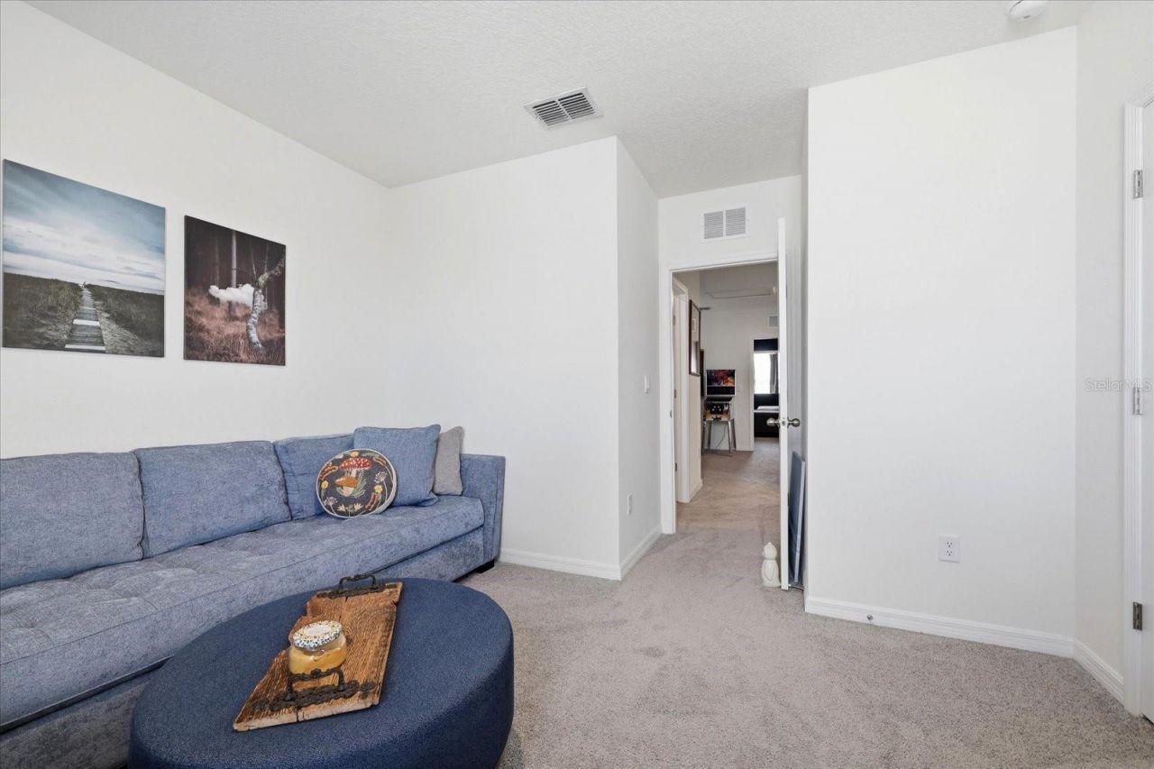 33479 Elm Hill Branch, Wesley Chapel, FL 33545 Photo
