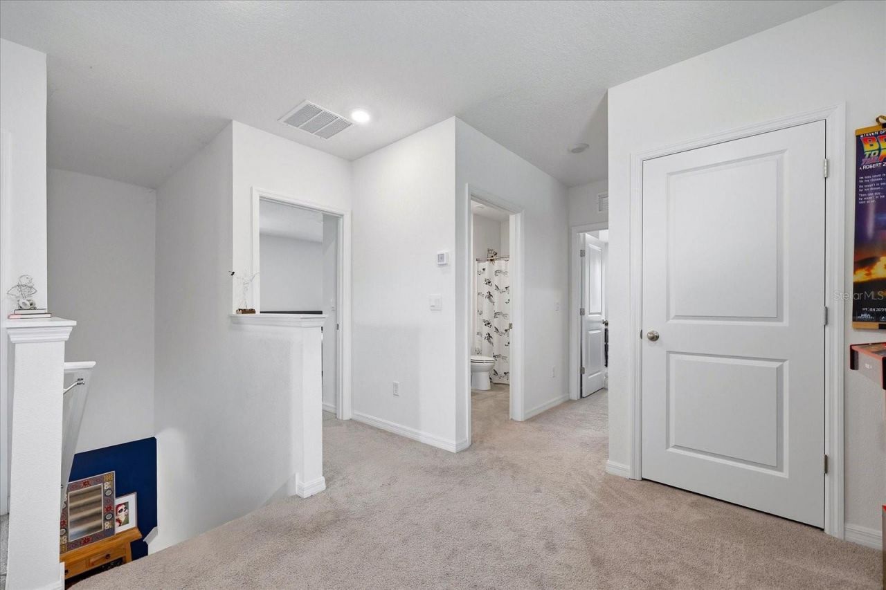 33479 Elm Hill Branch, Wesley Chapel, FL 33545 Photo