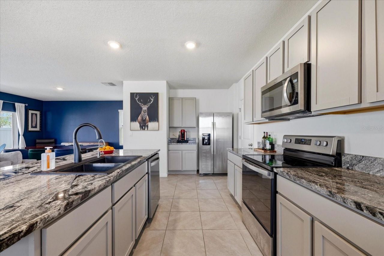 33479 Elm Hill Branch, Wesley Chapel, FL 33545 Photo