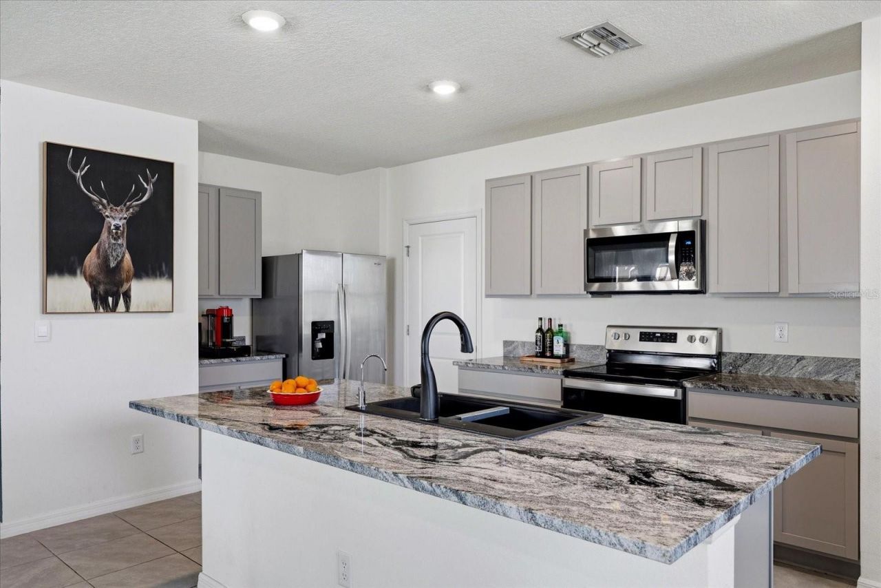33479 Elm Hill Branch, Wesley Chapel, FL 33545 Photo