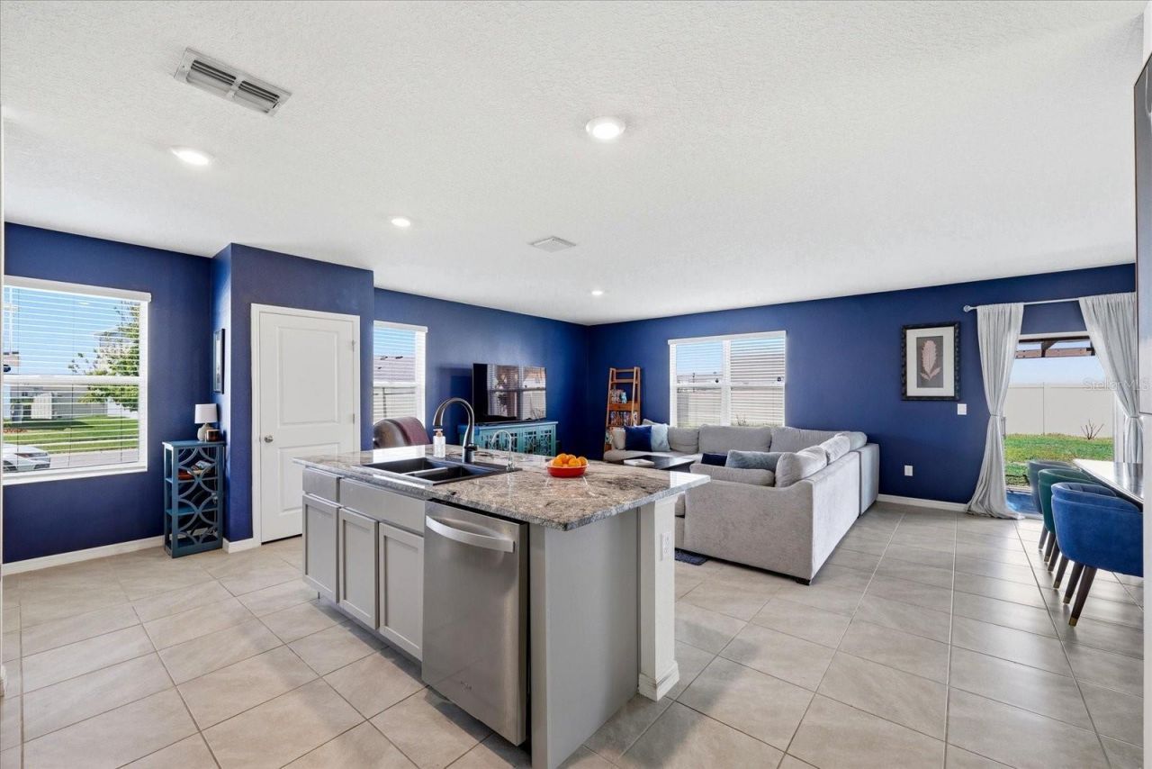 33479 Elm Hill Branch, Wesley Chapel, FL 33545 Photo