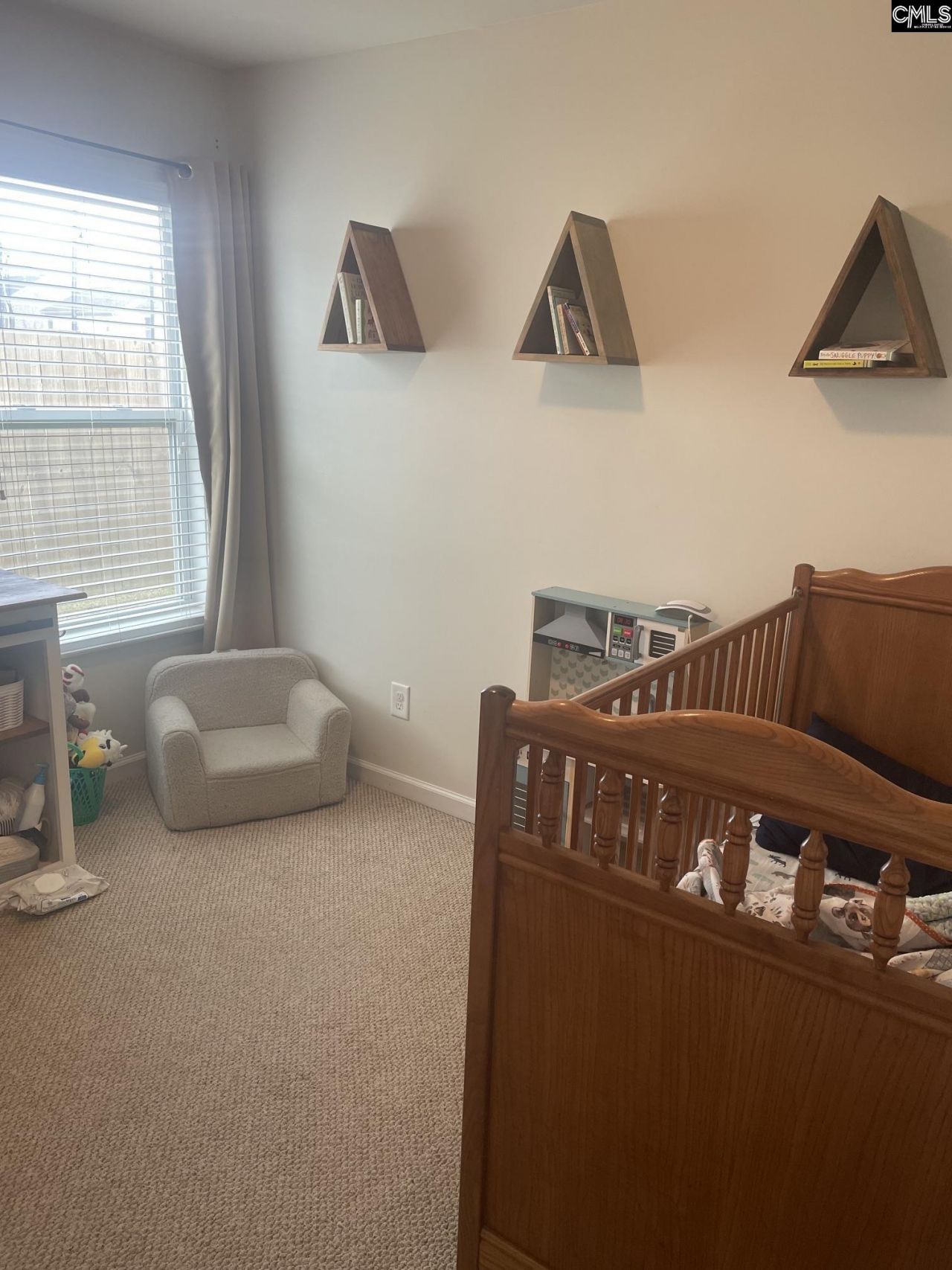 645 Deertrack Run Photo 18