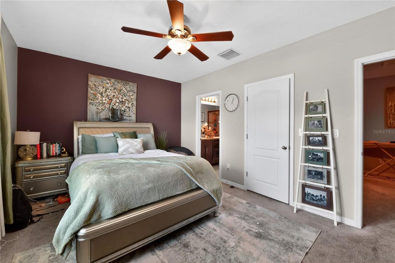 10420 Butterfly Wing Court, Riverview, FL 33578 Photo