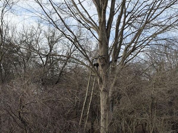 VL Harper Road, Holt, MI 48842