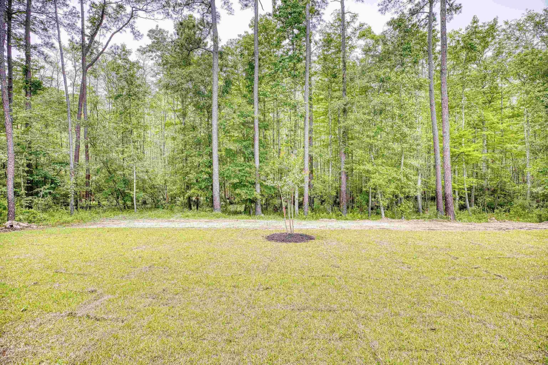 198 Fern Creek Ct.  Photo 35