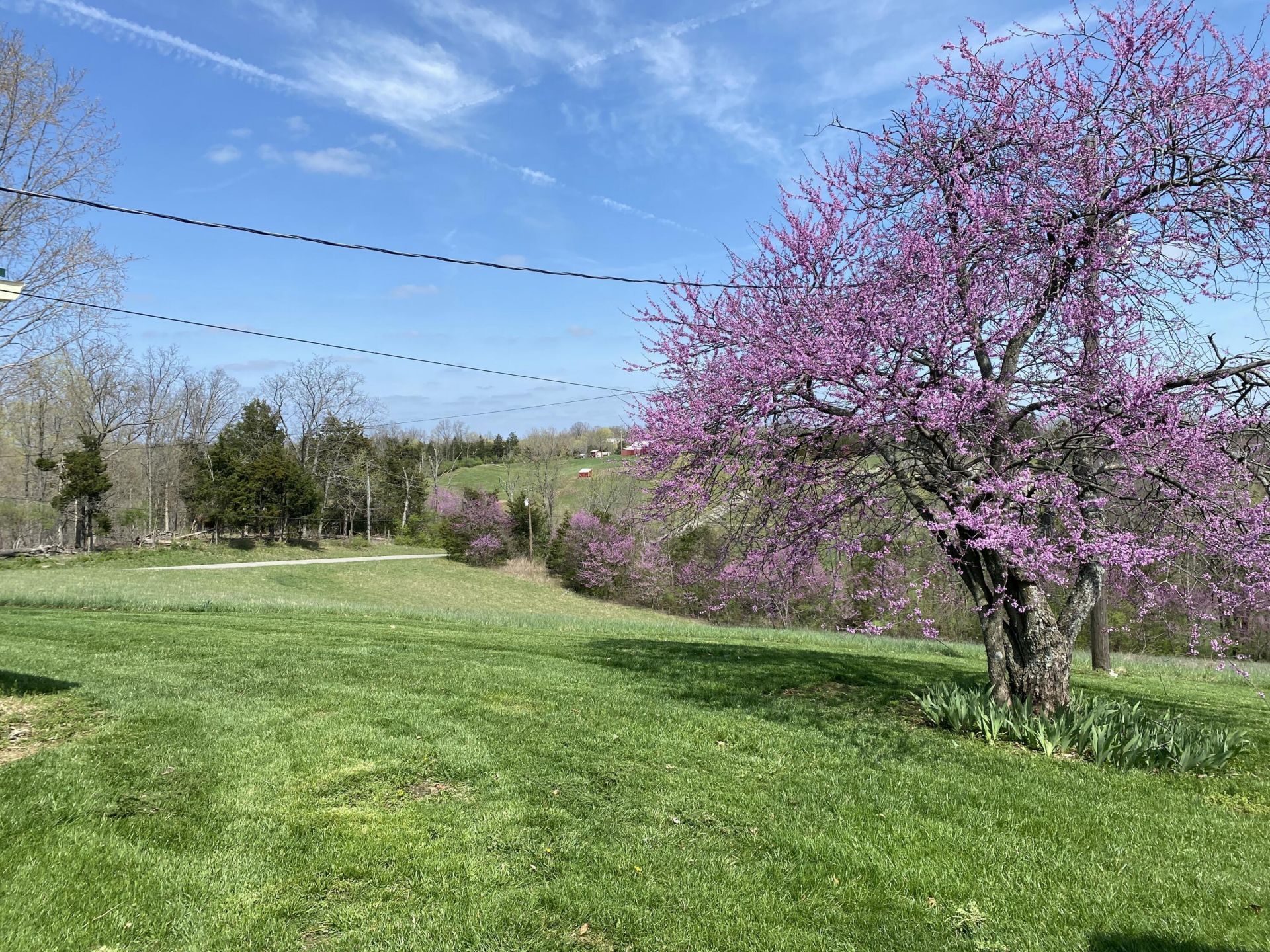 317 Short Road, Salvisa, KY 40372