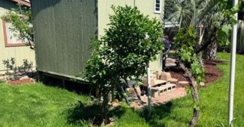 7368 Borba, Sacramento, CA 95828 Photo