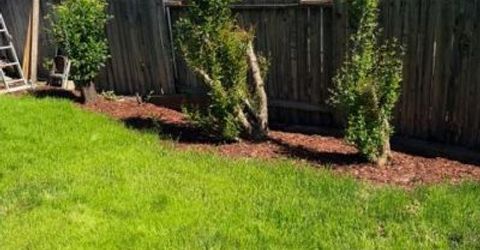 7368 Borba, Sacramento, CA 95828 Photo