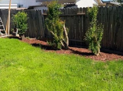 7368 Borba, Sacramento, CA 95828 Photo