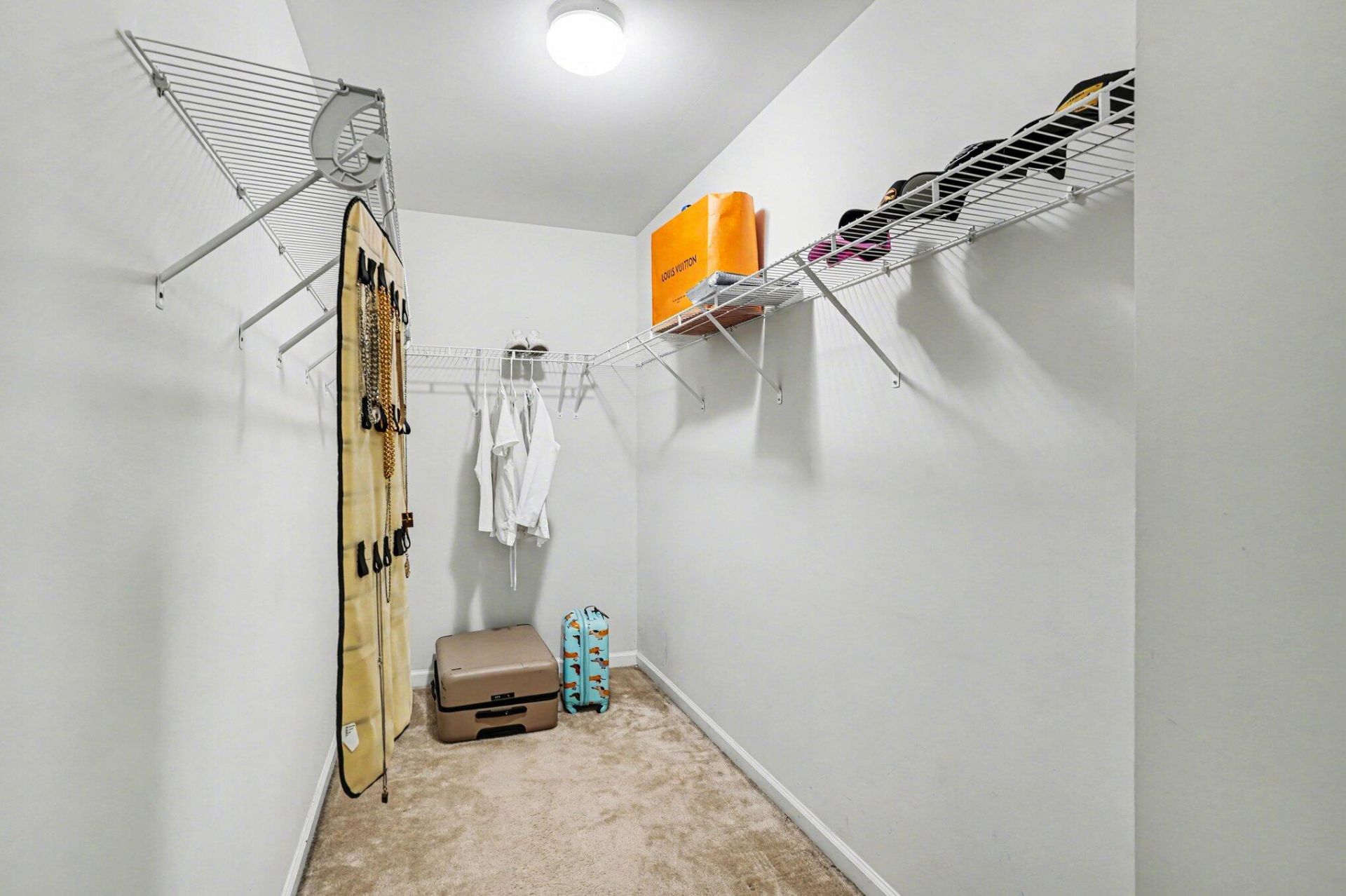 3046 Conservancy Lane Photo 25