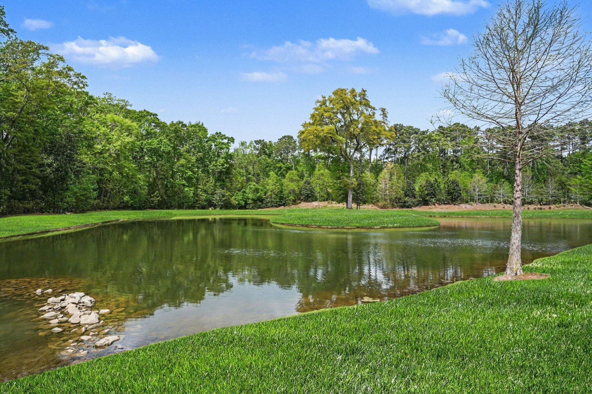 3046 Conservancy Lane Photo 36