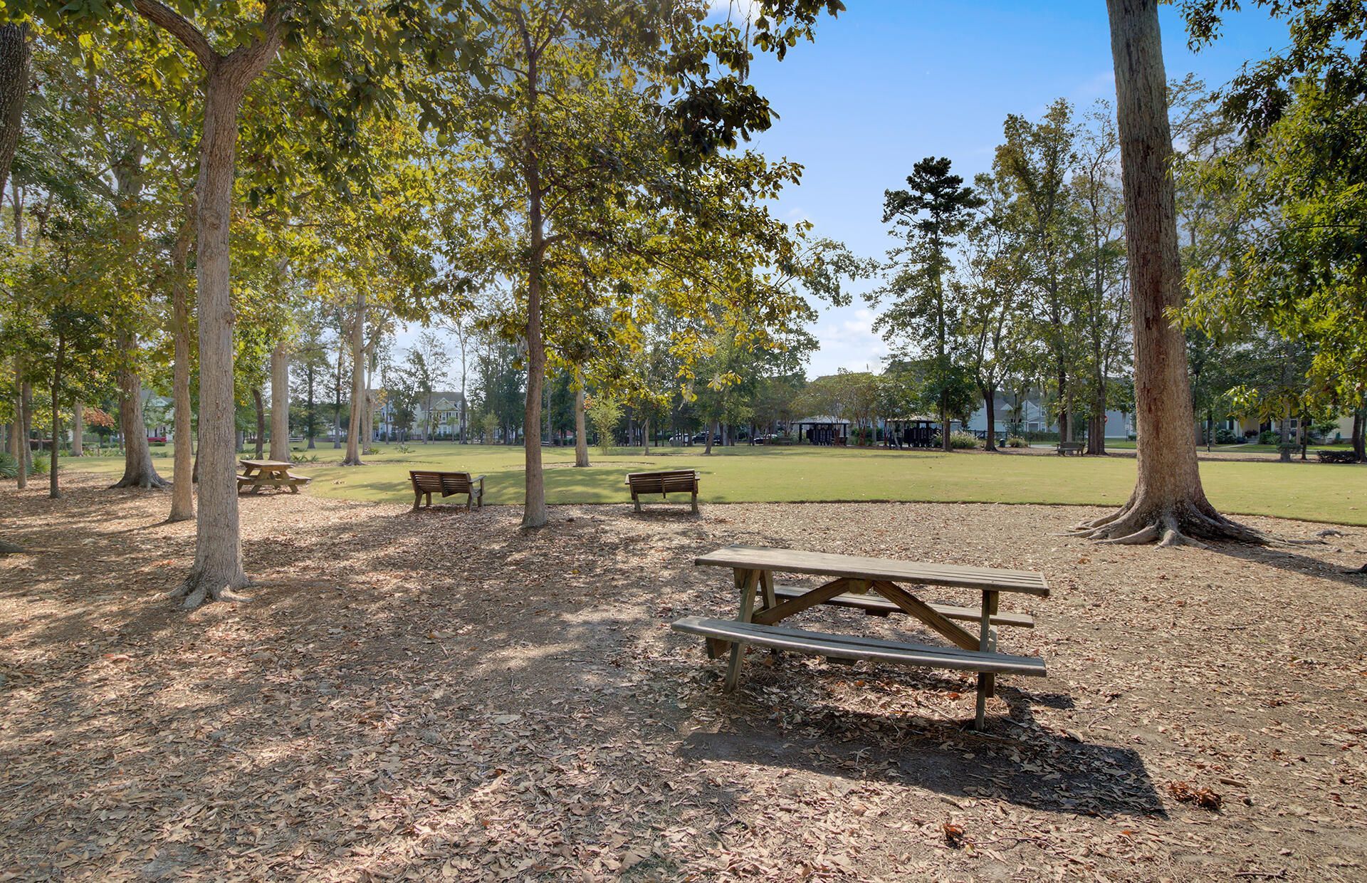 3046 Conservancy Lane Photo 45