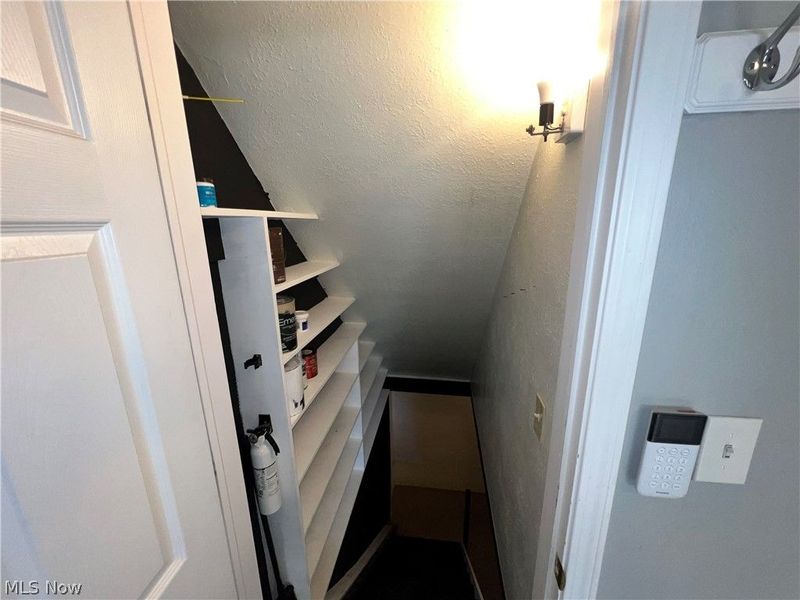 227 Howard Street, Medina, OH 44256 Photo 11