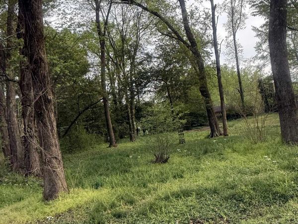 .31 10th Avenue, Arab, AL 35016