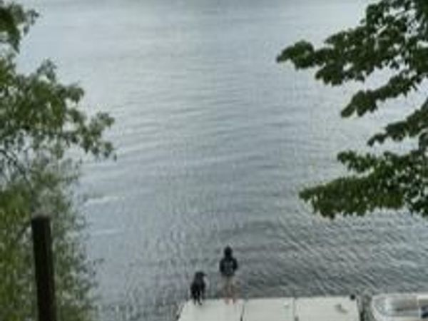 10043 County 47 , Grey Eagle, MN 56336