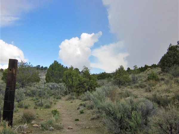 0 Brownstone 4/15 Interest, Patent 16152 M/S 63S R, Ely, NV 89301