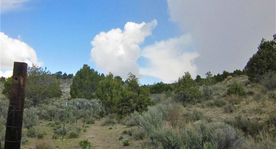 0 Brownstone 4/15 Interest, Patent 16152 M/s 63s R, Ely, NV 89301 Photo