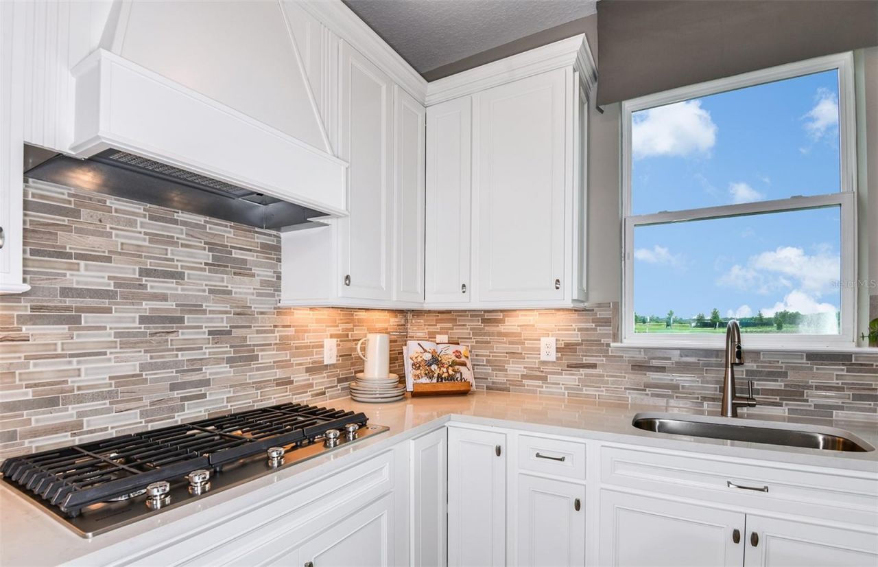 1116 Canopy View Way, Minneola, FL 34715 Photo