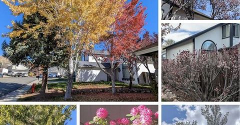 2240 Springdale Court, Reno, NV 89523 Photo
