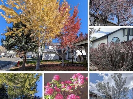 2240 Springdale Court, Reno, NV 89523 Photo