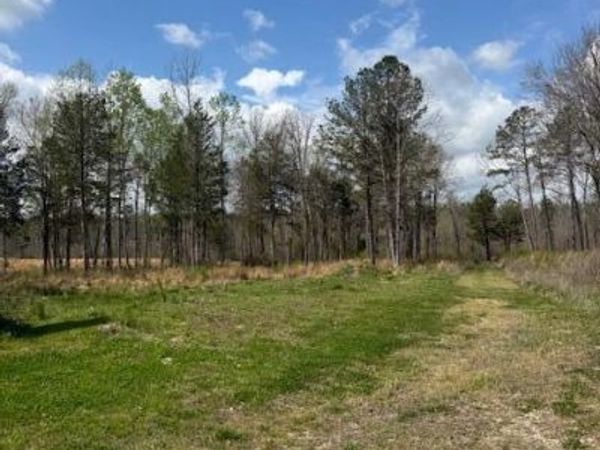 5 Acres Calico Road, Decatur, TN 37322