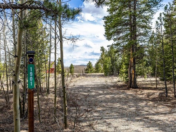 901 Bluestem Way, Fairplay, CO 80440