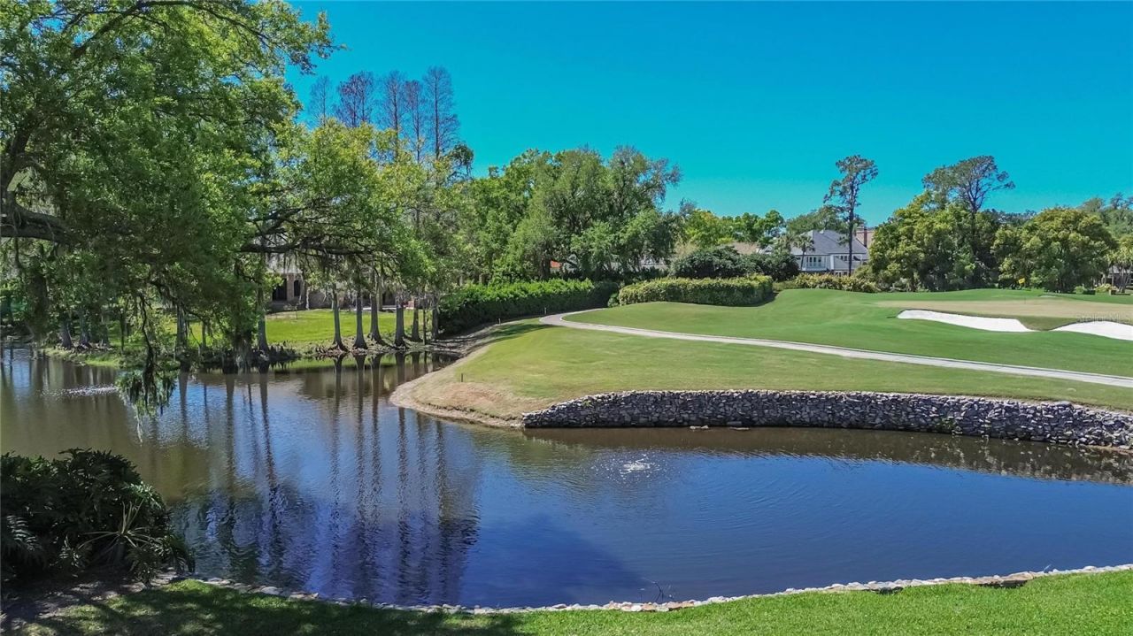 1043 Guisando De Avila, Tampa, FL 33613 Photo