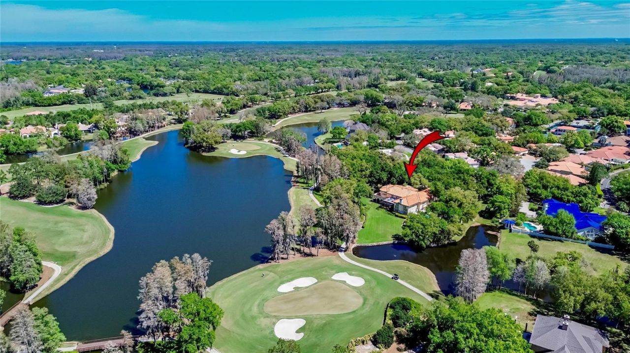 1043 Guisando De Avila, Tampa, FL 33613 Photo