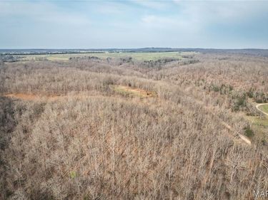 12980 Canyon Road, Dixon, MO 65459
