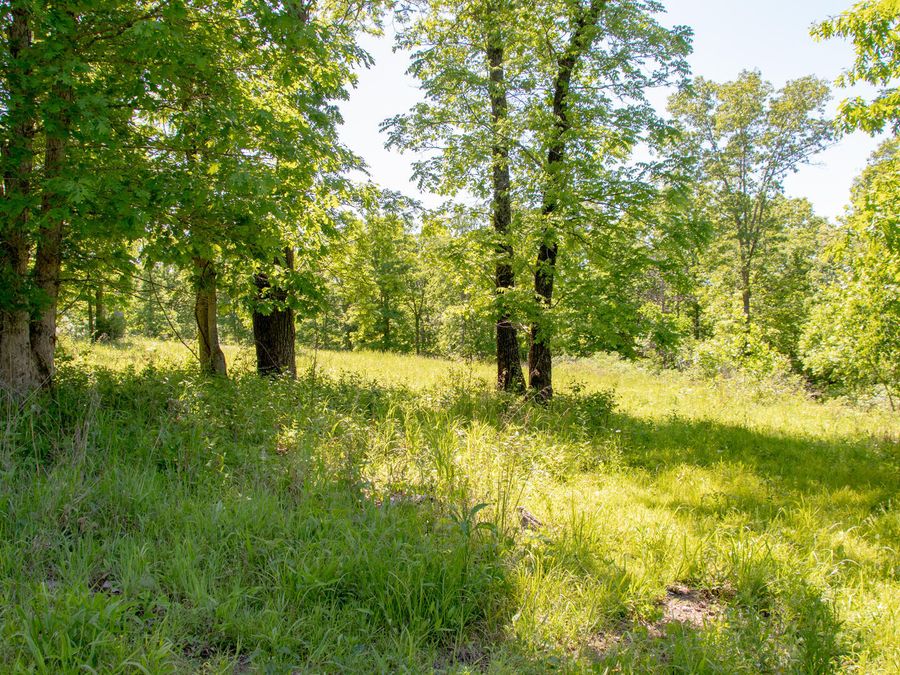 Property Image 61