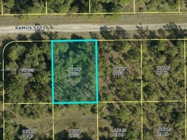 1238 Ramus Street E, Lehigh Acres, FL 33974