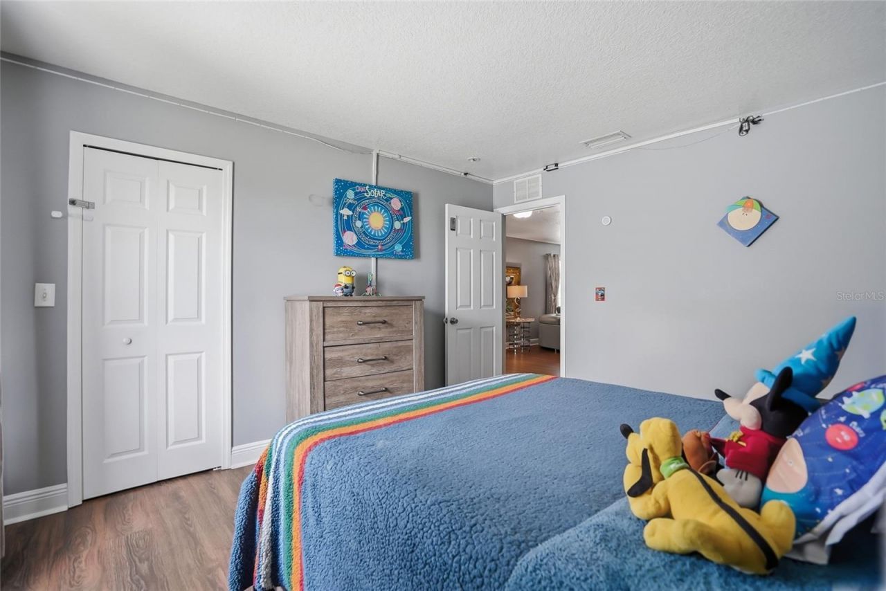 30902 Temple Stand Avenue, Wesley Chapel, FL 33543 Photo