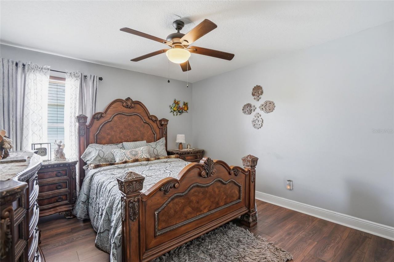 30902 Temple Stand Avenue, Wesley Chapel, FL 33543 Photo